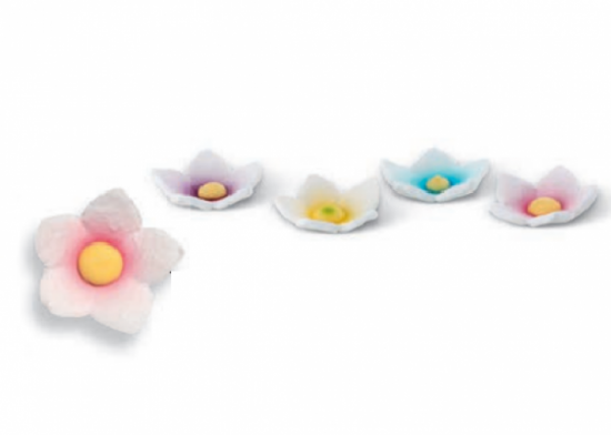 Genziana Fiori Pastello  