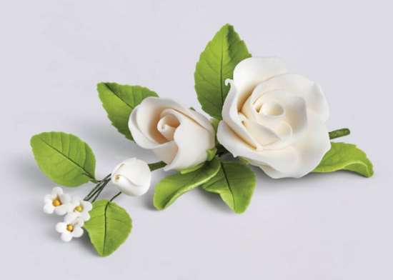 RAMO CAMPANULA BIANCA