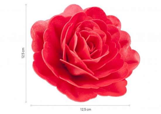 Rosa rossa cialda Grande