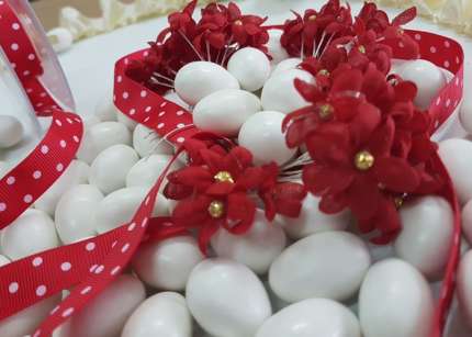 Fiori margheritine rosse