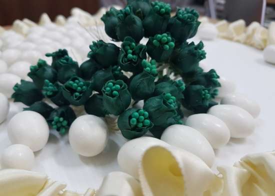 Bocciolo di tulipano 