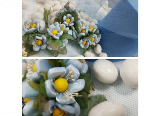 Fiore bello colorato 