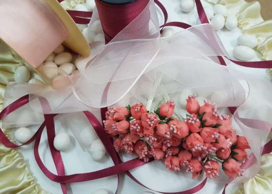 Bocciolo di tulipano 