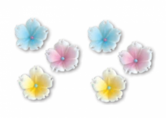 Fiore Ibisco in pastigliaggio.