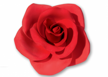 Rosa rossa grande