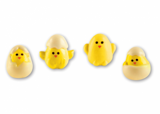 Pulcini uovo cioccolato