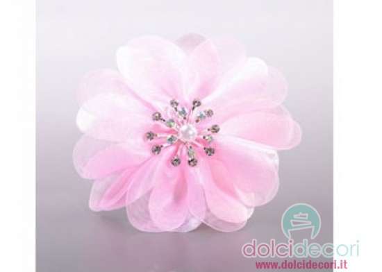 Cosmos rosa con stellina