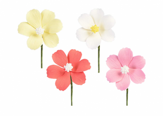 Margheritone in zucchero 