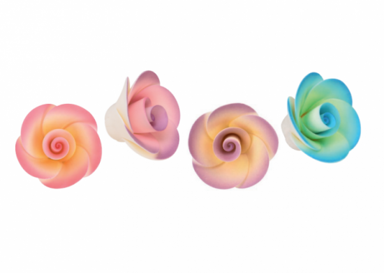 Peonia Colore Pastello