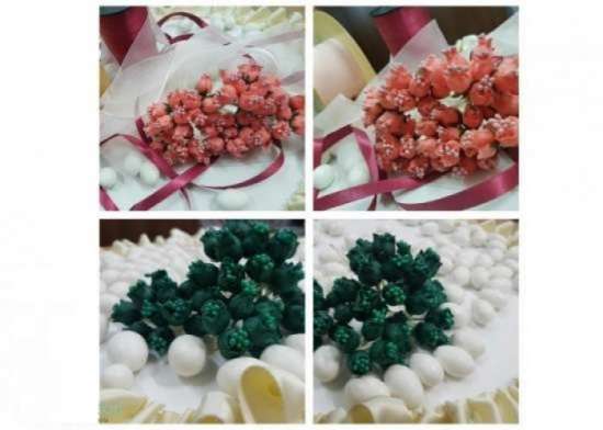 Bocciolo di tulipano 