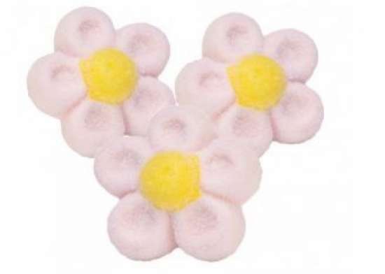 Fiore marshmallow rosa