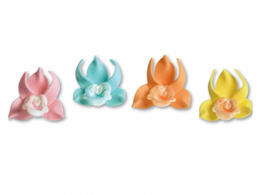  Orchidea  singola colorata