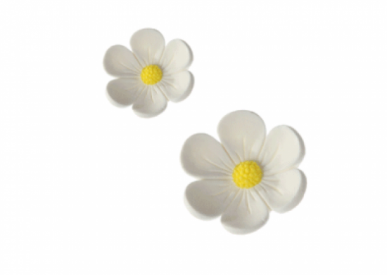 Fiore Anemone Pastello Bianco