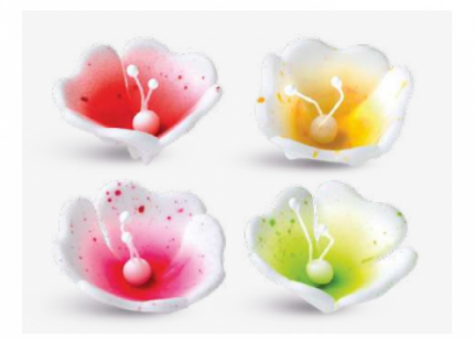 Campanellini Fiori Delicati