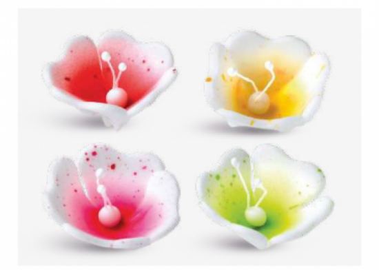 Campanellini Fiori Delicati