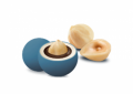 Les Noisettes Nuance Blue