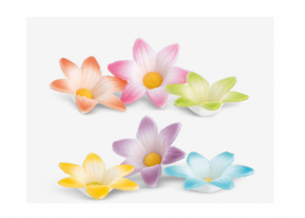 Fiori delicati pastello