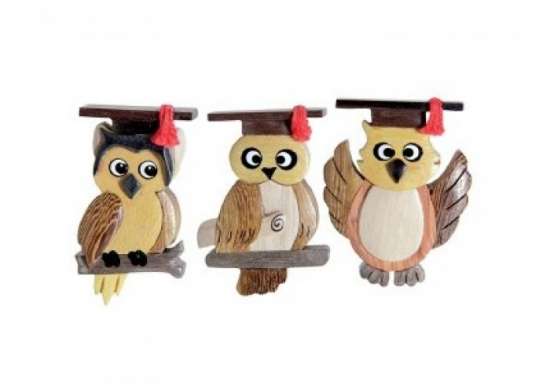 Gufetto Laurea Calamita Legno