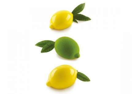 Stampo Limoni e Lime Semifreddo