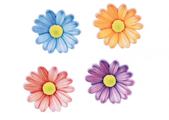 Margherite Colorate In Zucchero