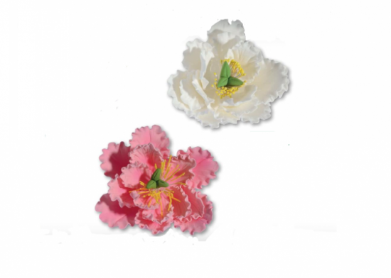 Peonia di zucchero