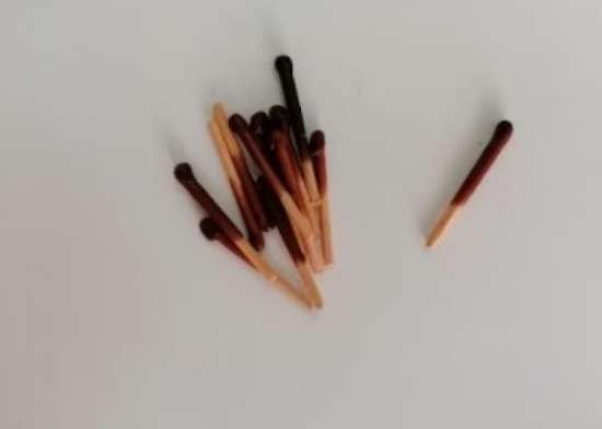 Foglie per frutta martorana - stelo Pero inverno