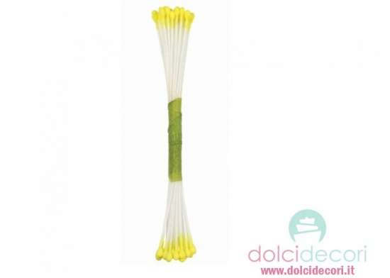 Pistilli fiori giallo