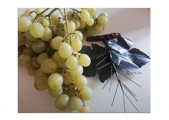 Ramo foglie Uva per frutta martorana