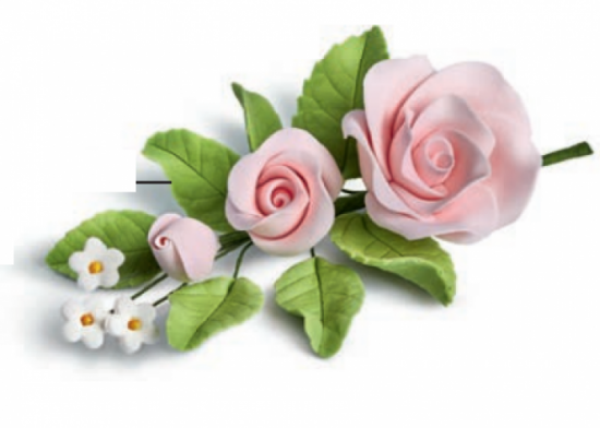 Ramo campanula rosa