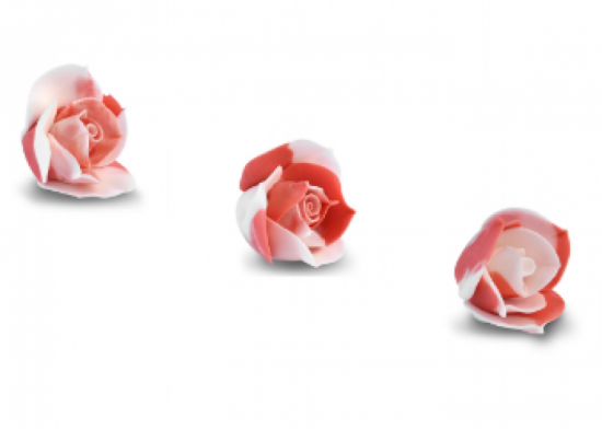 Bocciolo Rosa Rosso