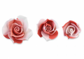 Bocciolo Rosa Rosso