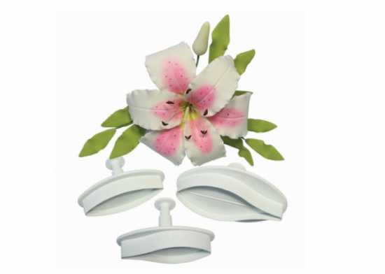 Stampo espulsione Orchidea
