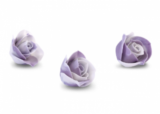 Bocciolo rosa lilla