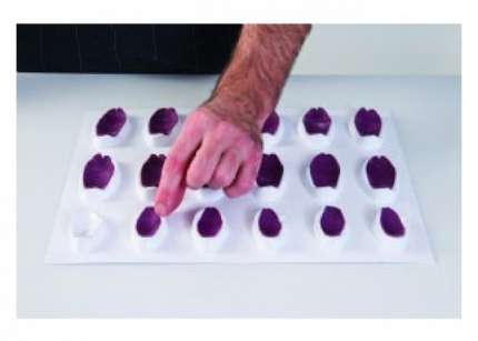 Stampo tulipani asciugatura