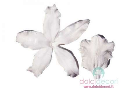 Decorazioni dolci: petal veiner orchidea