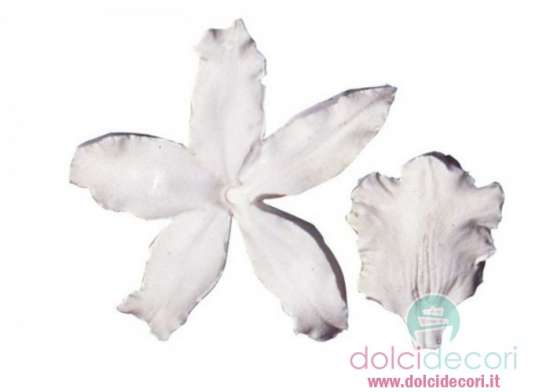 Decorazioni dolci: petal veiner orchidea